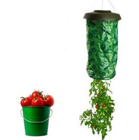 Tomato Planter