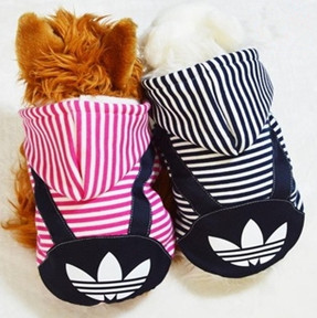 winter clothes pet clothes